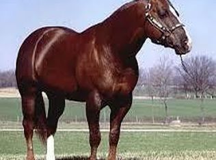 14215 S Kennedy Rd, Greenwood, MO 64034