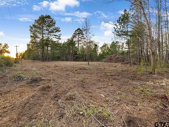 3rd image of 19353 County Road 2153 Lot 1