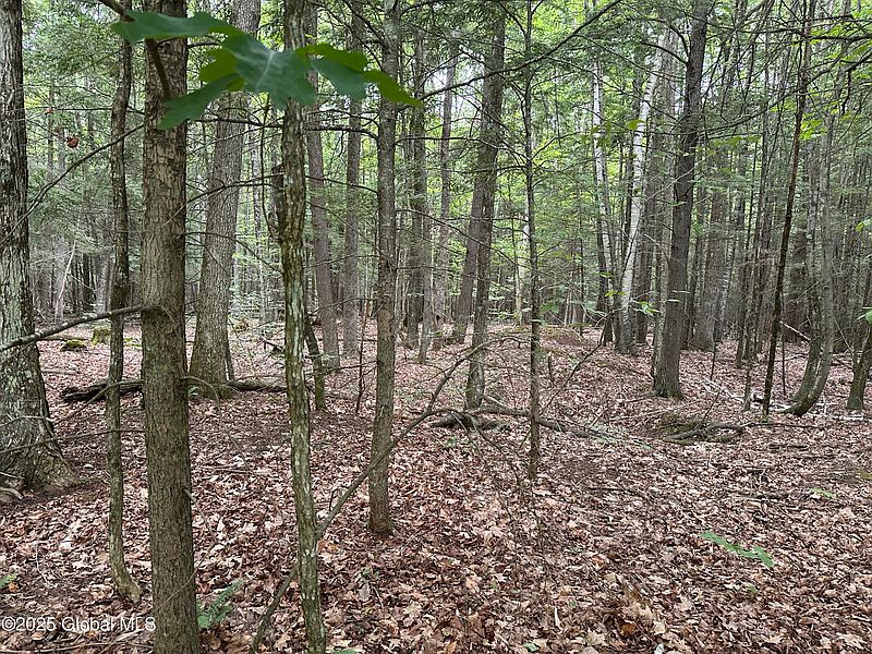 3rd image of 2 Diamond Ridge Road