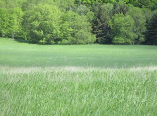 Haines Road Parcel #C, Alanson, MI 49706