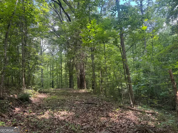0 Hickey Rd, Franklin, GA 30217