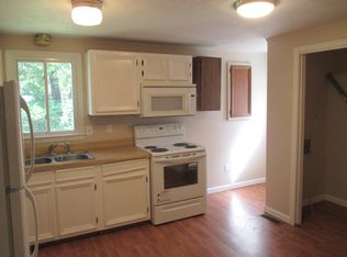 203 Wilkinson Ave, Hot Springs, VA 24445