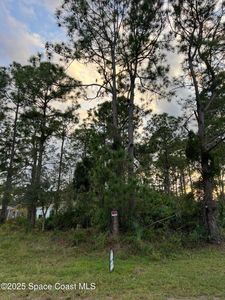 1292 Daton Rd SW, Palm Bay, FL, 32908