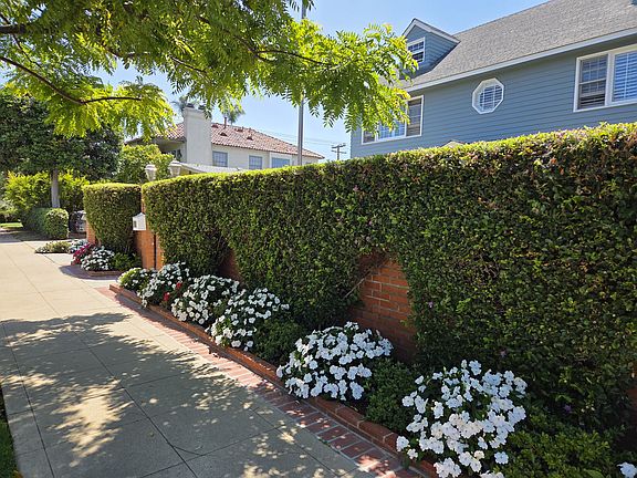 Sidewalk view
