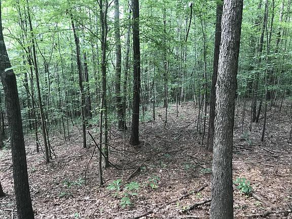 The property is more than 95% forested.