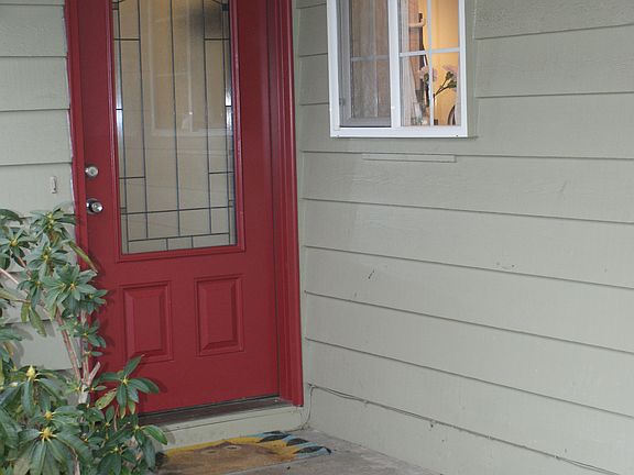 New Entry Door