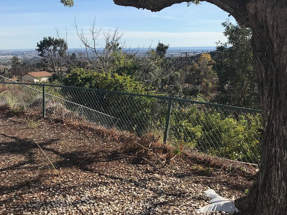 View from backyard