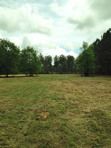 2nd image of 24780 Cowpen Creek Rd