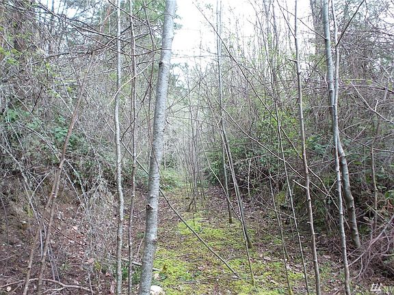 4th image of 675 Woodland Dr