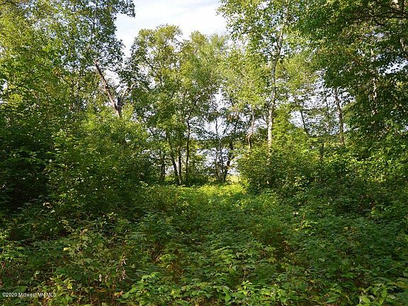 4th image of 15518 Big Buck Dr