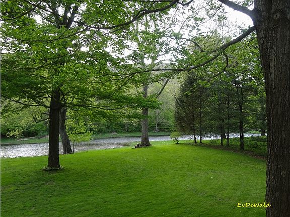 Backyard and creek view. 
