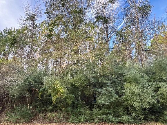 4th image of T 2 Tall Cotton Rd