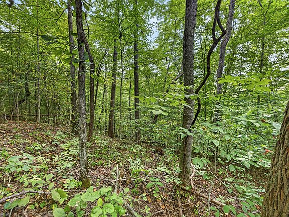5th image of 0 Timber Ridge Ln Lot 31