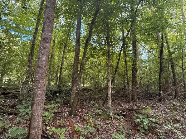 0 County Road 312 W, Maplesville, AL 36750