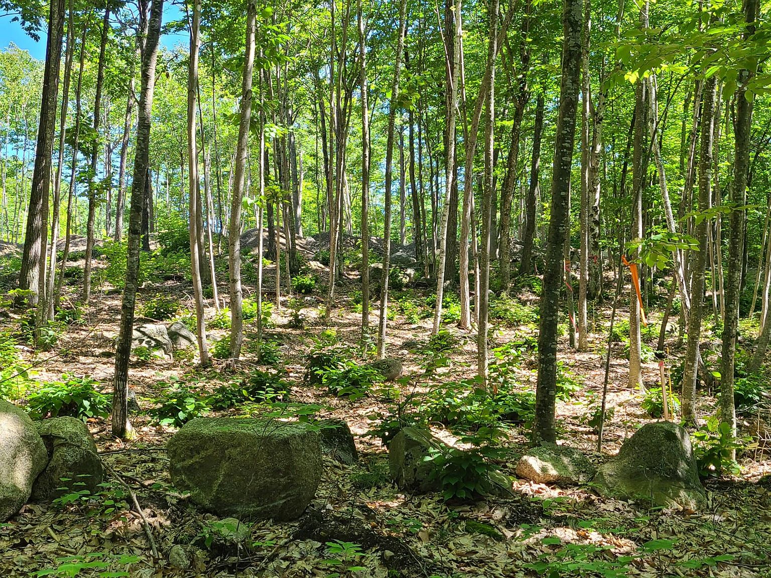 152 Dunton Road Lot 28, Naples, ME 04055 Zillow