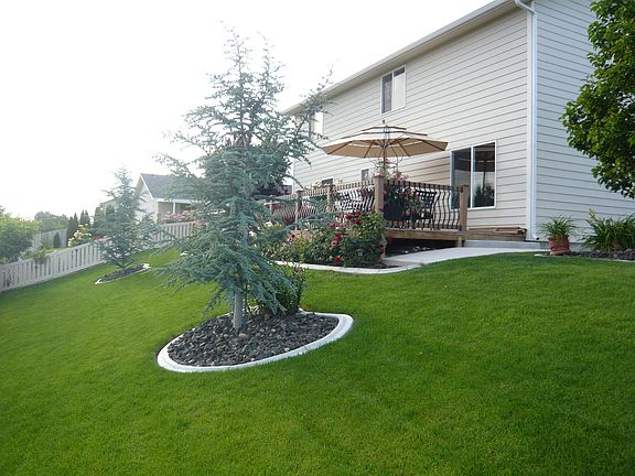 Back yard view