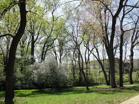 View out front