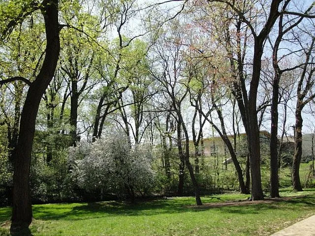 View out front - 1400 S Edgewood St #533