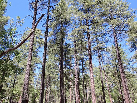 4th image of 225ACRE Lakeside Summer Hom