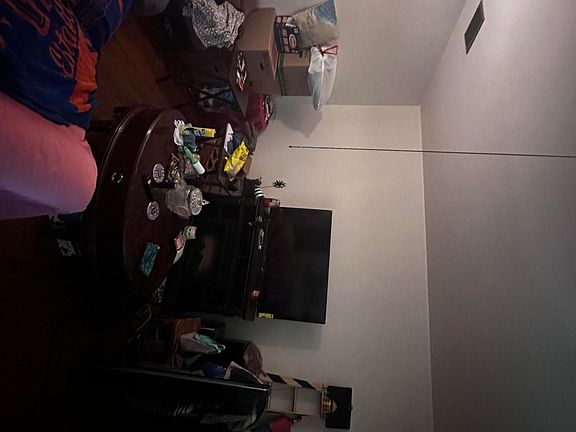 4th image of 1317 PINE GROVE Court