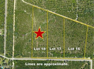 LOT 18 E HILLSBOROUGH Avenue, Florahome, FL 32140