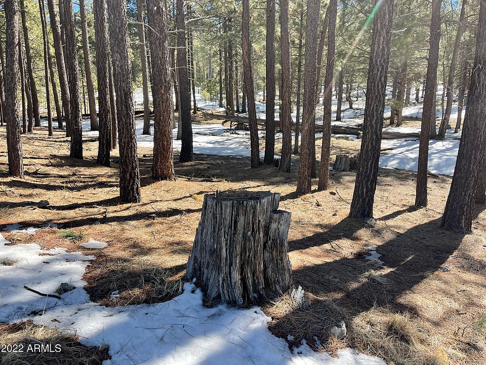 2692 State Route 260 LOT 895, Forest Lakes, AZ 85931 MLS 6559144