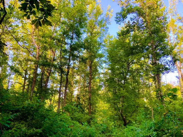 0 Copper Springs Rd, Springville, TN 38256
