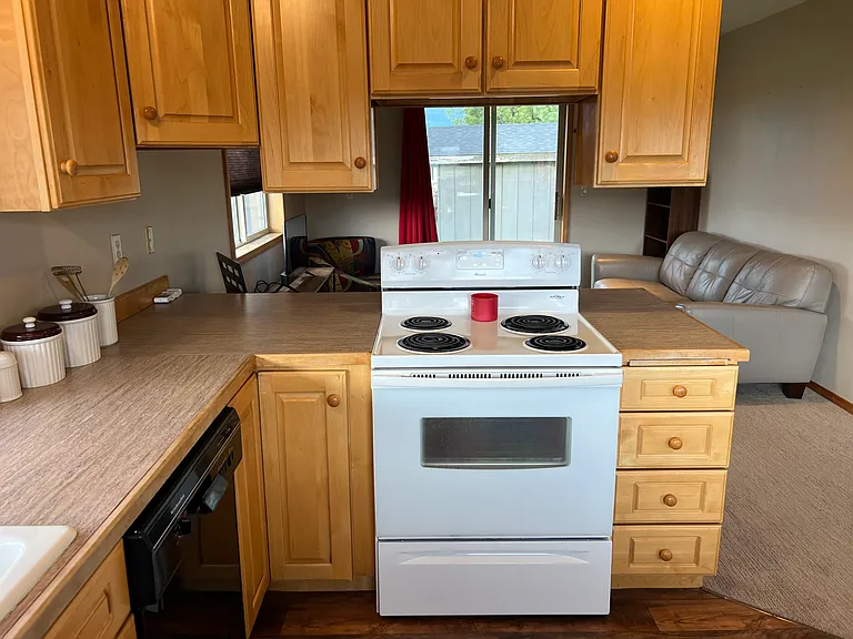 Ponderosa Cascade Dr — Photo 9