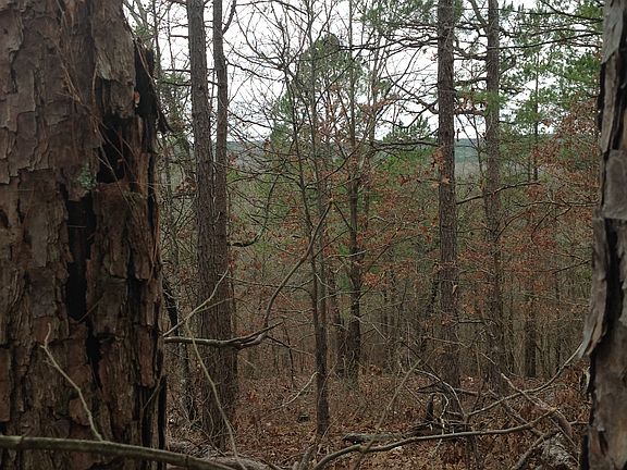 3rd image of Woodland Hills 8 N #8