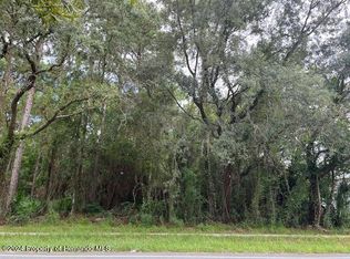 0 Elgin Blvd, Spring Hill, FL 34608