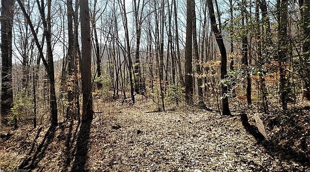 1st image of 0000 Hemlock Falls Drive 1 Sec #4