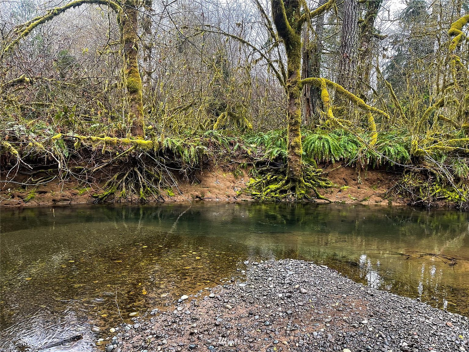 450 W Maple Rock Road, Matlock, WA 98560 Zillow