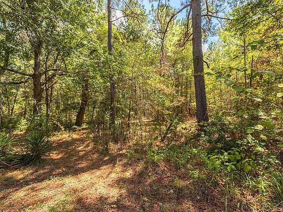 2nd image of 110131 Bill Jones Rd