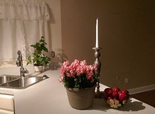 64 Cell Tower Ct, Smithfield, NC 27577