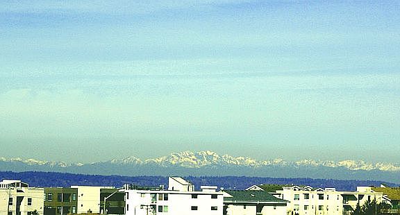 MOUNTAIN  VIEW