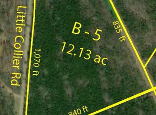 Little Collier Rd, Forsyth, GA 31029