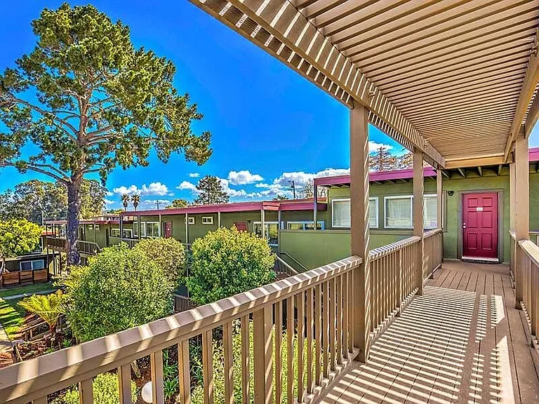 Pacific Pines — Photo 17