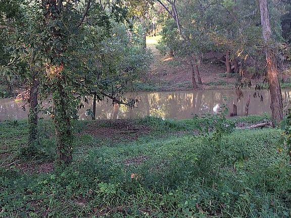 Oyster creek back yard 