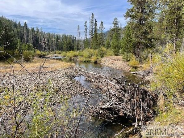 Napias Creek Rd, Salmon, ID 83467