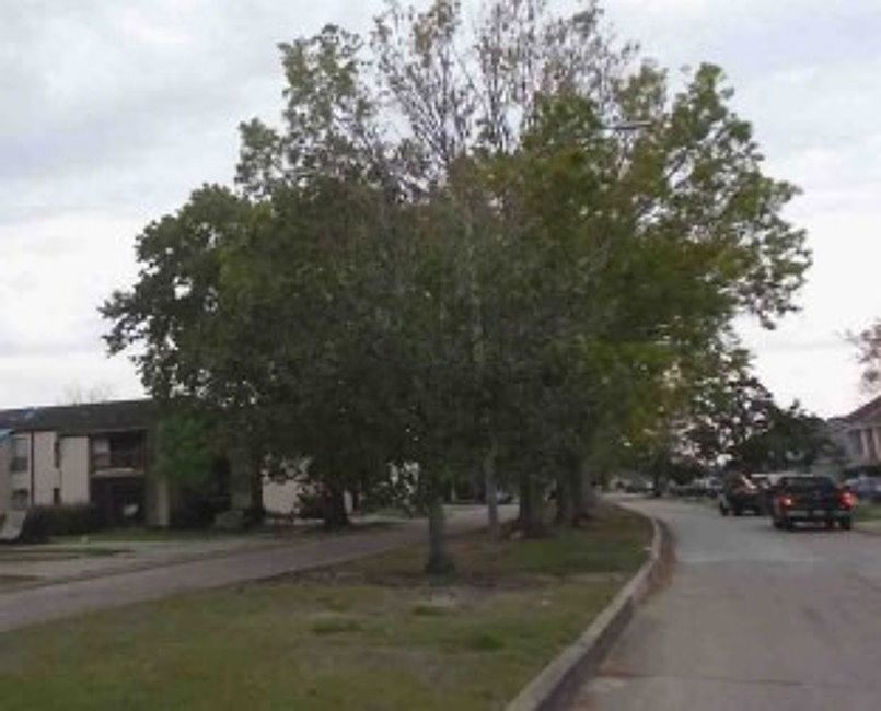 Exterior Neighborhood (street photo)