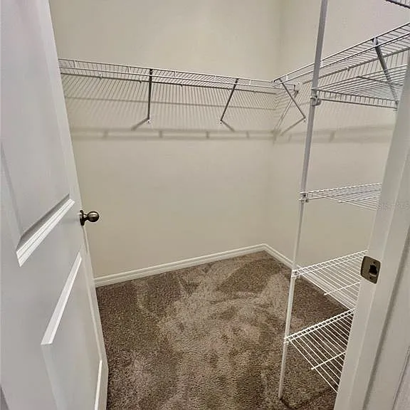 32557 Turtle Grace Loop — Photo 13