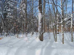 N6625 Nevins Lake Rd, Munising, MI 49862