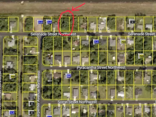 1025 Serenade St NW, Palm Bay, FL 32907