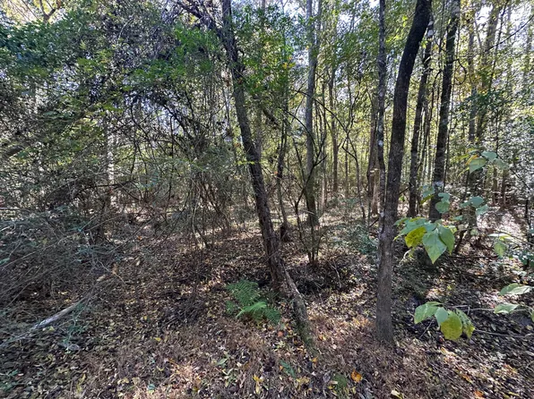0 Willington Dr, Ridgeville, SC 29472