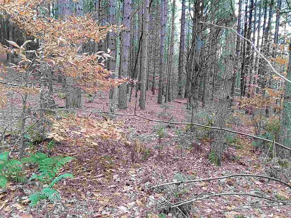 4th image of 00 Mount Eustis Road