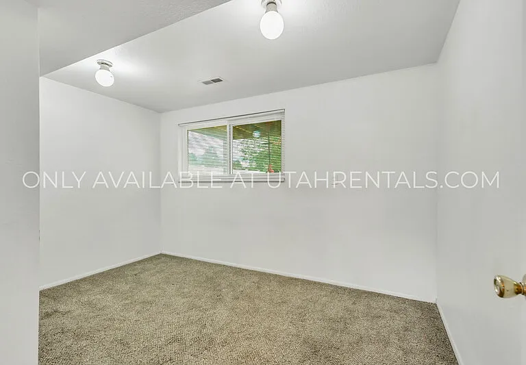 262 E 1165 N — Photo 12