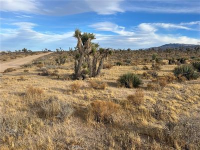 23926 Poppy Rd, Apple Valley, CA, 92308