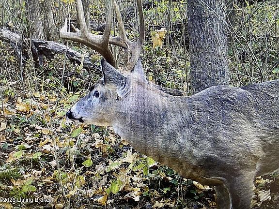 5th image of 0 Minter Ln #0