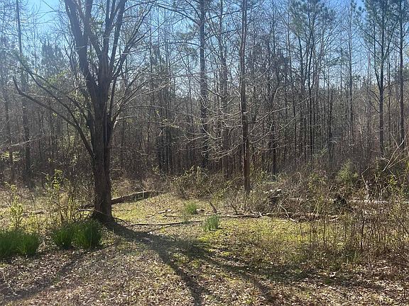 5th image of 0 Crystal Lake Rd #0