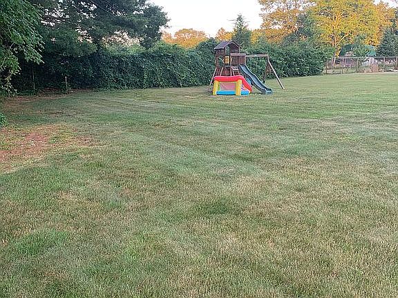 Back yard swing set